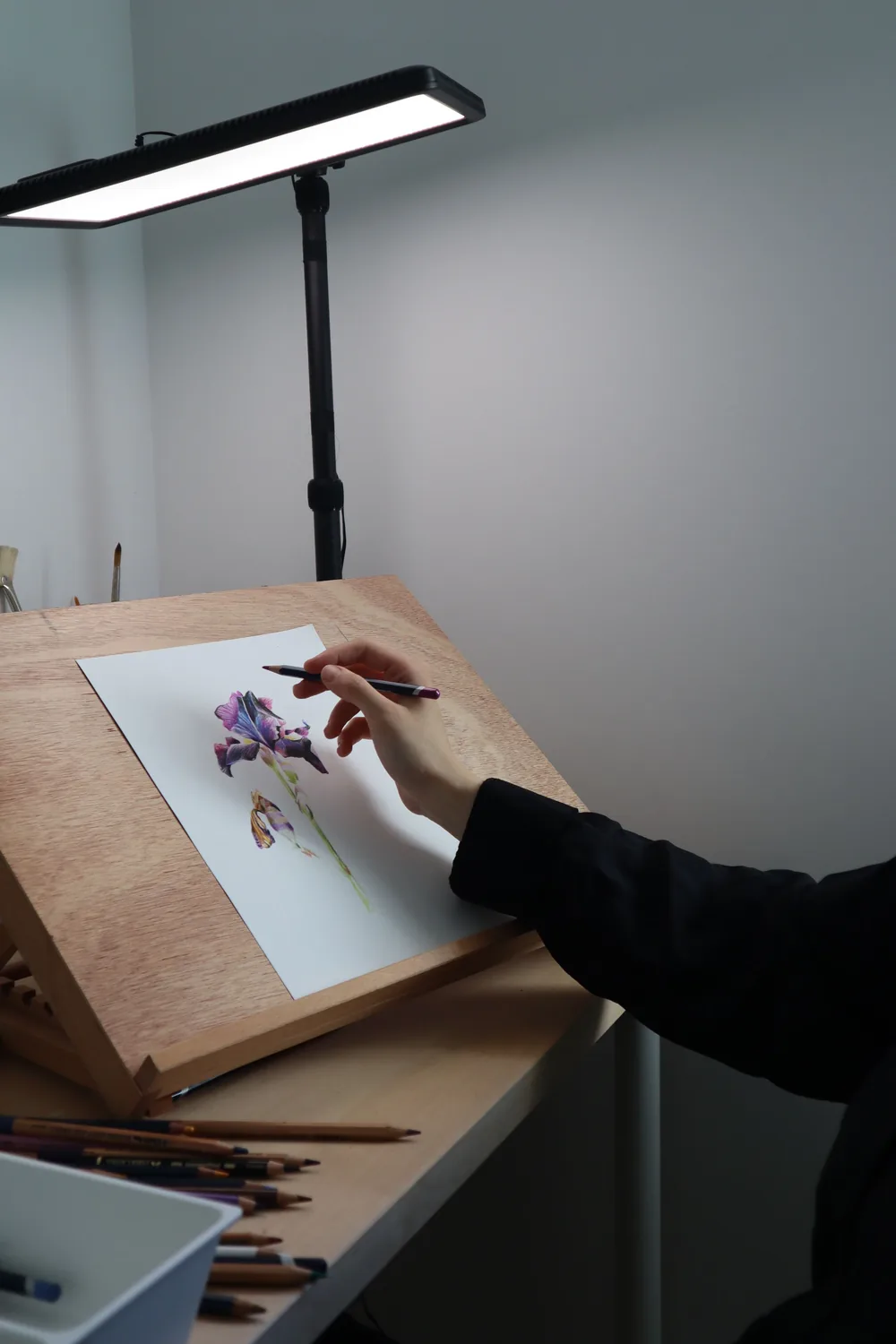 A hand working on a drawing under a lamp