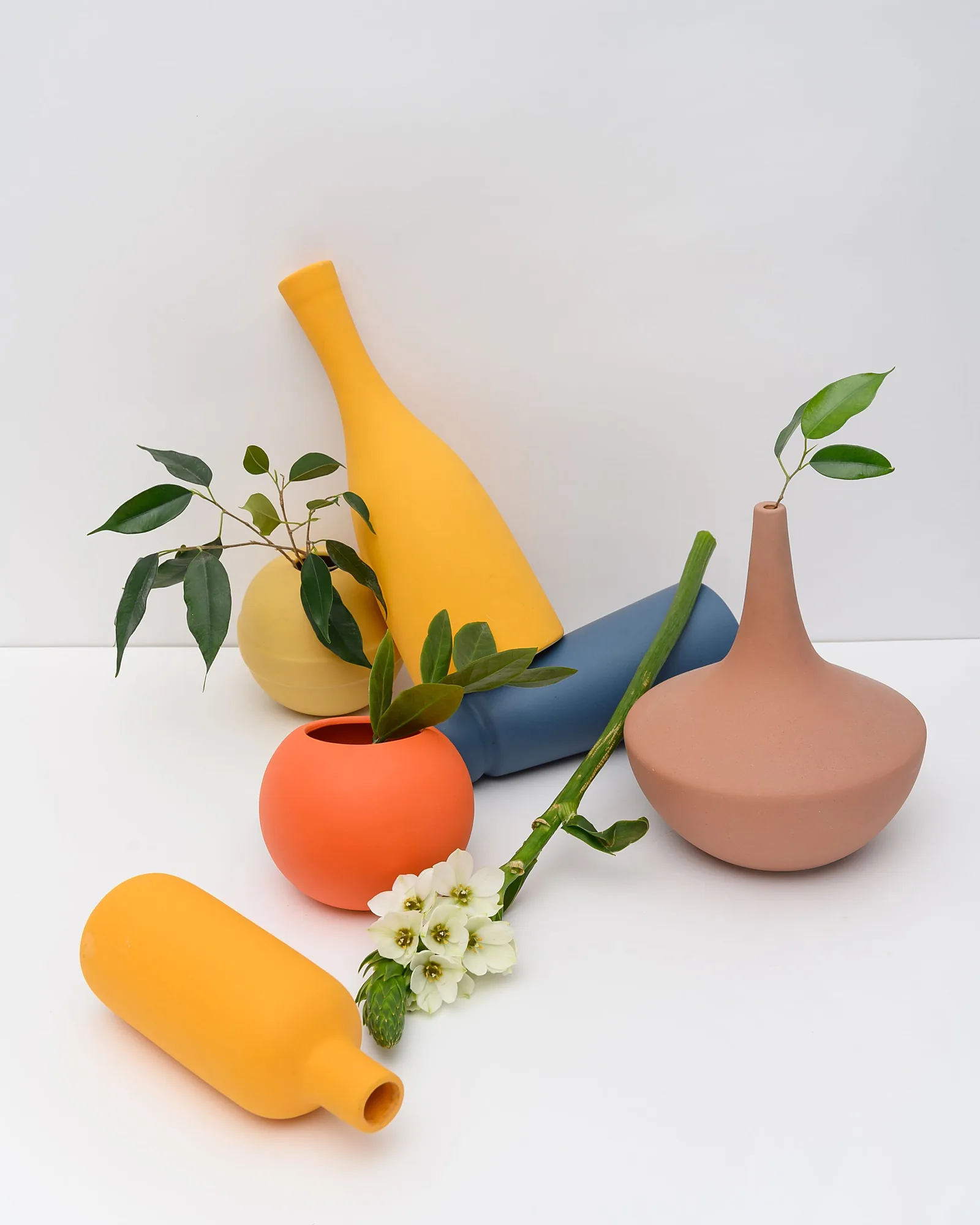 Plants in vases of different colours